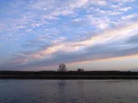 Contos de Terror e Sobrenatural: 4 Histórias que Vão Mudar as Suas Noites de Leitura Introdução